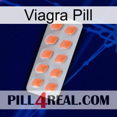 Viagra Pill 26